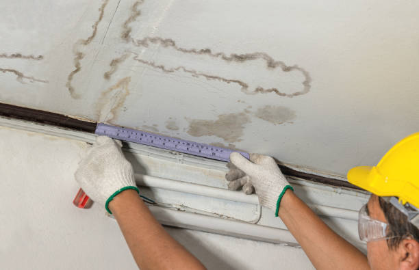 Reliable Water Damage contractor in Pipe Creek, TX by Water Damage Irwin